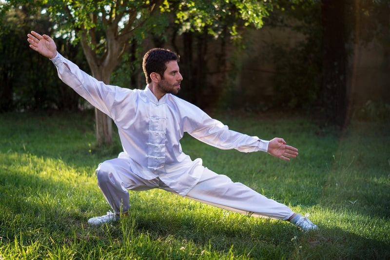 Tai Chi Ball