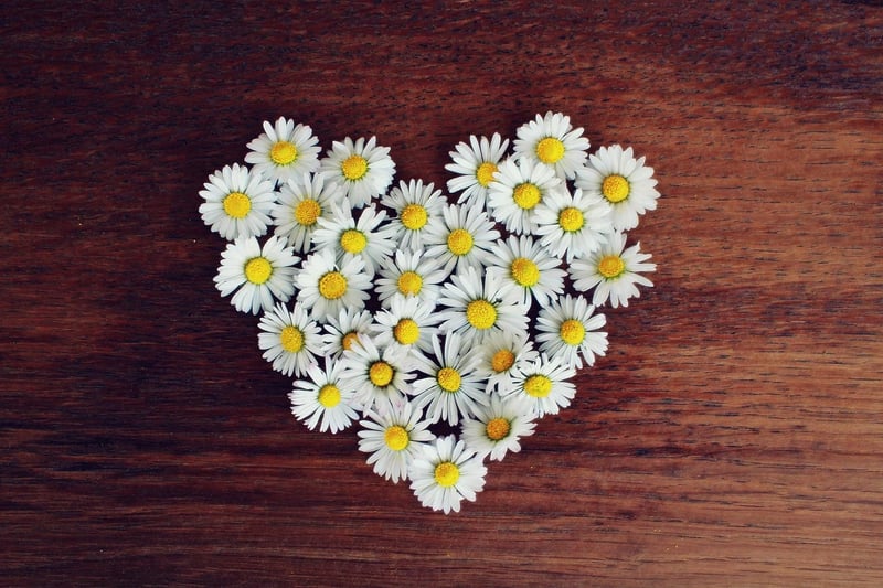 Loving-Kindness Meditation